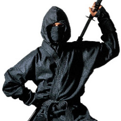 Ninja